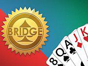 play Bridge