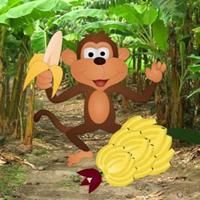 Feed The Hungry Monkey Html5