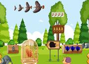 play Orange Parakeet Rescue