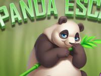 play Bashful Panda Escape