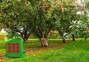 play Funny Apple Baby Escape