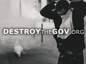play Destroythegov.Org