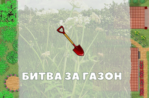 play Битва За Газон