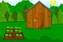 play Holiday Forest Escape