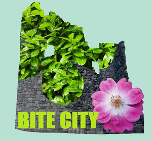 play Bite City