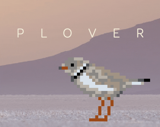 play Plover