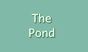 The Pond