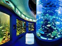 play Father Son Aquarium Escape