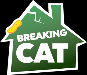 play Breaking Cat