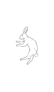 play The Rabbit