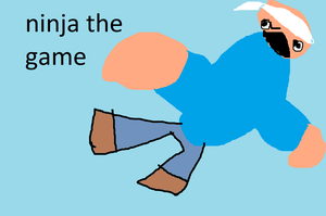 play Ninja The Game