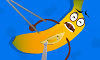 play Fruit Doctor