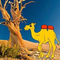 Help The Thirsty Camel Html5