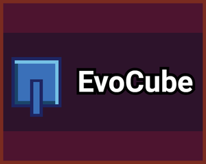 play Evocube