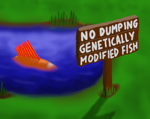 play Genetically Modified Goldfish