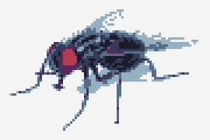 play Fly Simulator