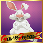 play G2E Find Bunny'S Carrot Html5