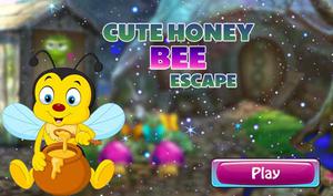 play Cute Honey Bee Escape