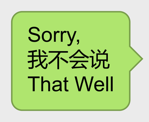 play Sorry, I Don'T Speak It That Well