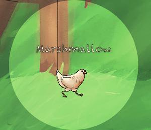Marshmallow: The Chicken: The Game