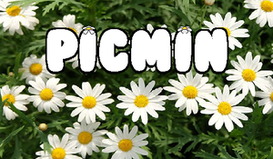 play Picmin