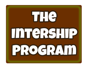 The Intership Program
