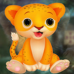 Charming Baby Lion Escape