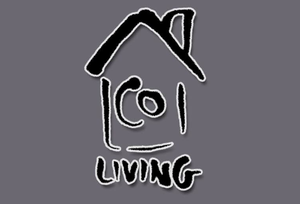 play Co-Living