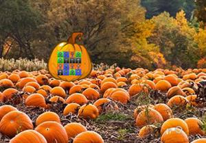 play Halloween Garden 03