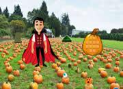 play Halloween Garden 03