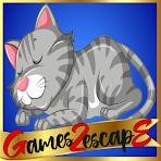 play G2E Feed Lazy Cat Html5