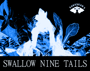 play Swallow Nine Tails