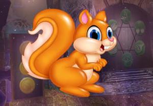 play Comely Squirrel Escape