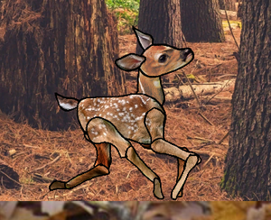 play Careful Deer