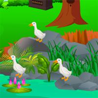 play Avmgames-Escape-Gardener