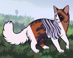play Cat Maker