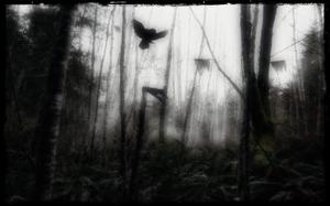 play The Woods