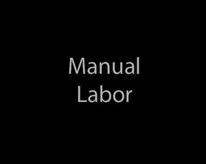 play Manual Labor