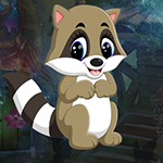 play Baby Raccoon Escape