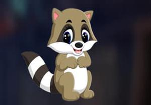 Baby Raccoon Escape