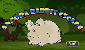 Angora Rabbit Escape