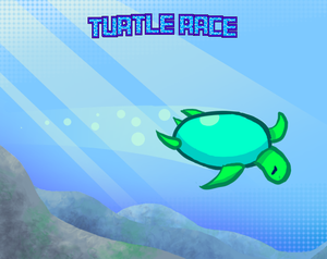 Turtle Race