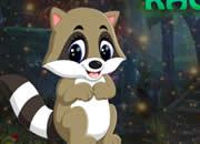 play Baby Raccoon Escape