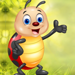 play Caring Ladybug Escape