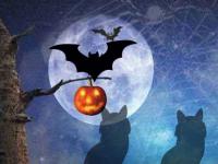 play Little Jack O Lantern Escape