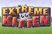 play Extreme Kitten - Play Free Online Games | Addicting