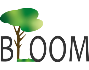 play Bloomboom