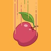 play Gravity And Friction