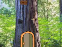 play Forest Tree Escape