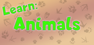 play Learn: Animals